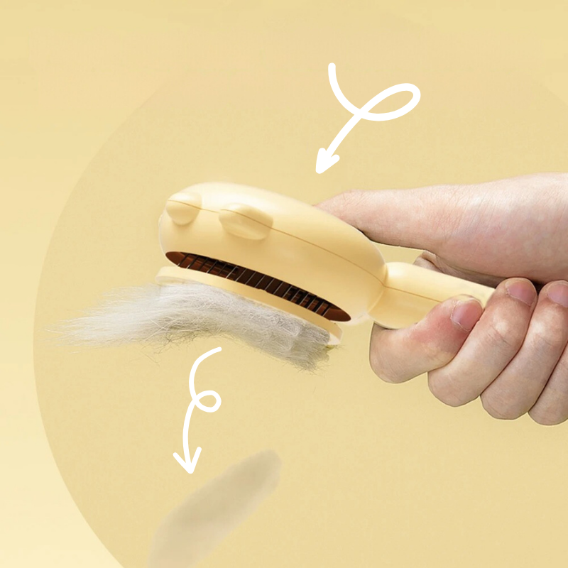 Brosse Magique Autonettoyante : Dites Adieu aux Poils Partout en un Seul Clic !