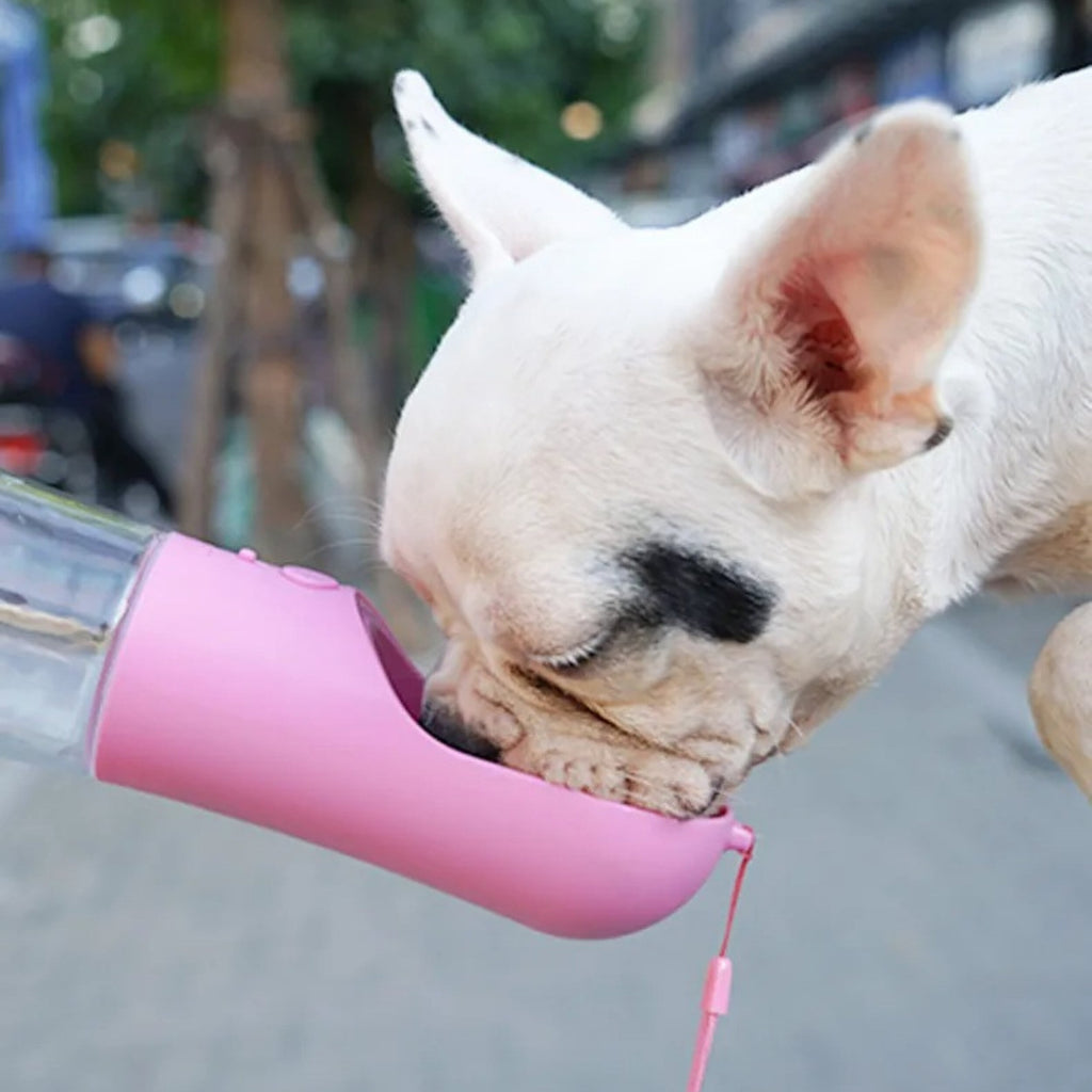 Gourde Portable 2-en-1 pour Chien et Chat - Distributeur d'Eau et Croquettes.