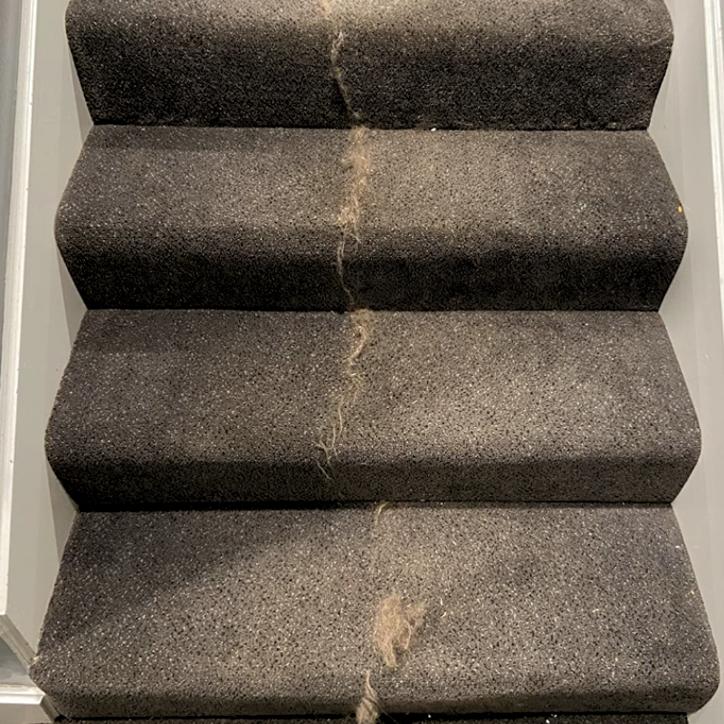 Rasoir Anti-Poils Premium - L'Éliminateur Magique pour Tapis et Vêtements