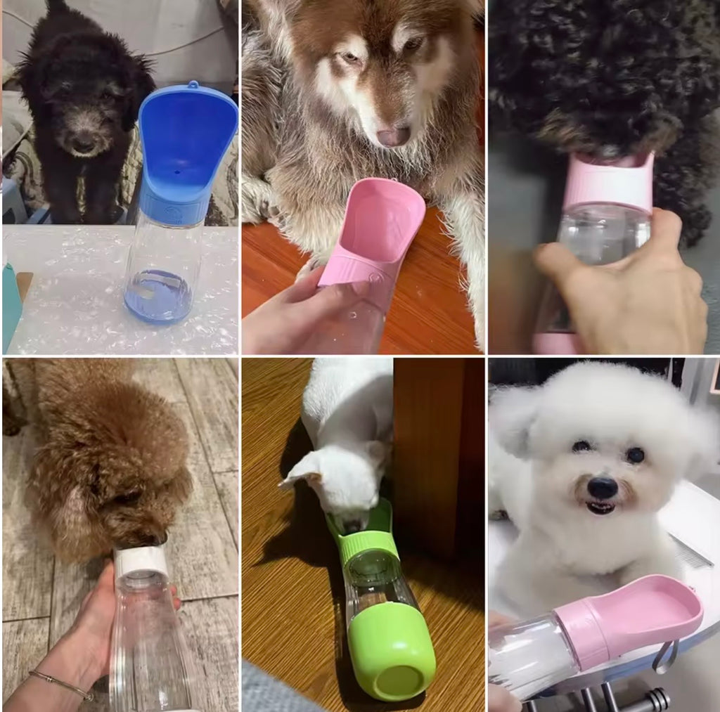 Gourde Portable 2-en-1 pour Chien et Chat - Distributeur d'Eau et Croquettes.