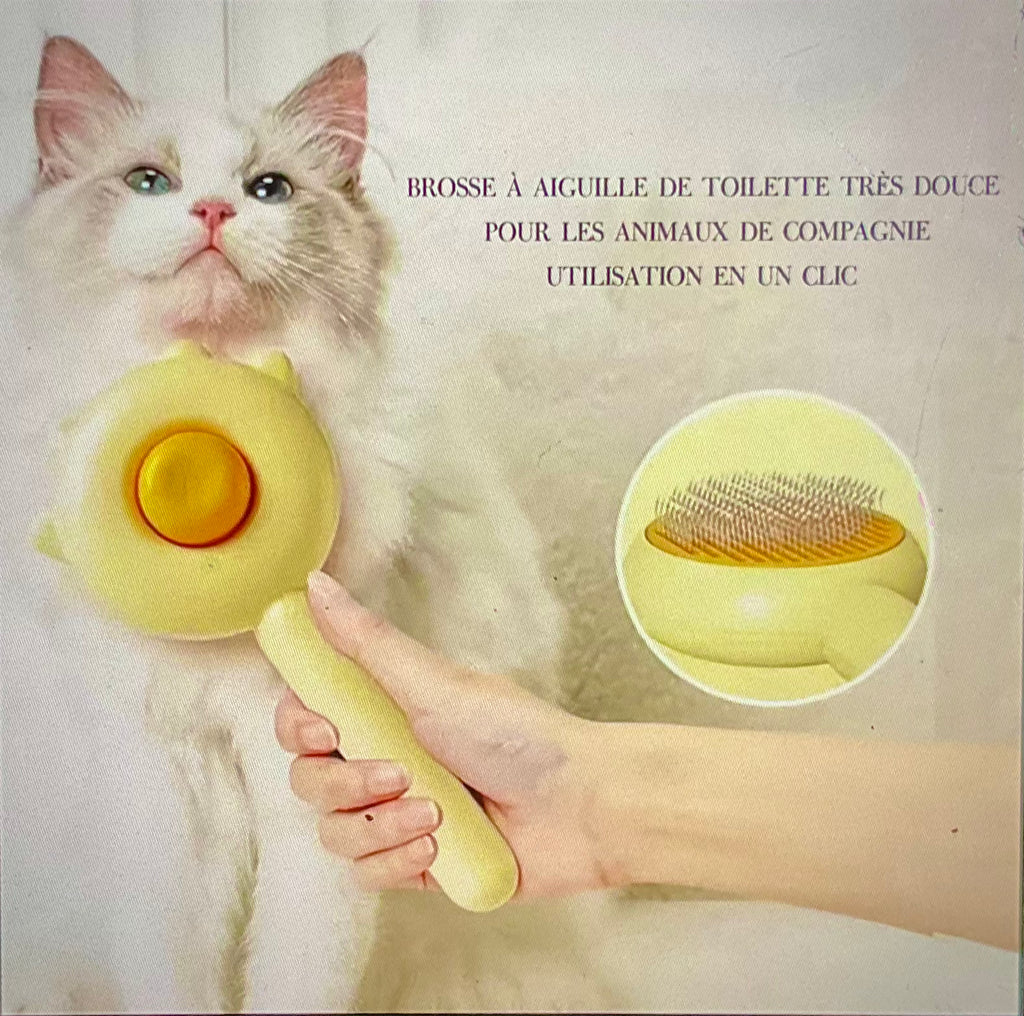 Brosse Magique Autonettoyante : Dites Adieu aux Poils Partout en un Seul Clic !