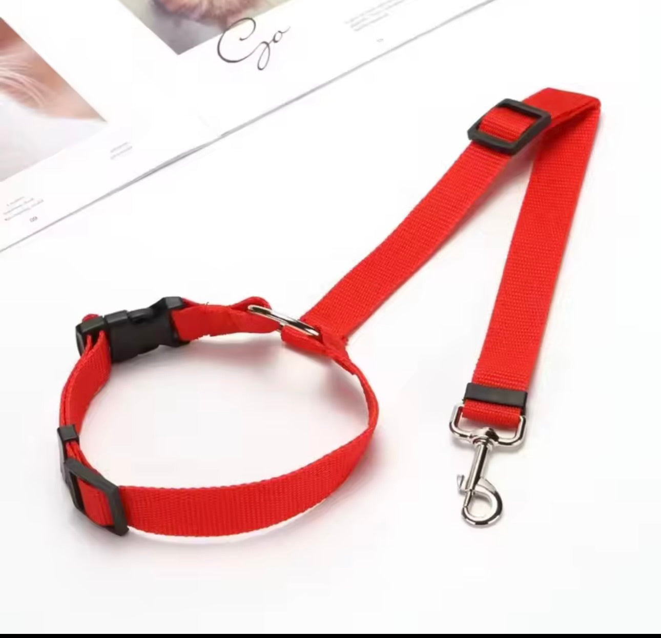 Ceinture de sécurité pour chien en voiture - Whiskora Pet House