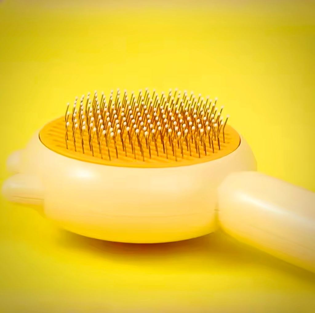 Brosse Magique Autonettoyante : Dites Adieu aux Poils Partout en un Seul Clic !