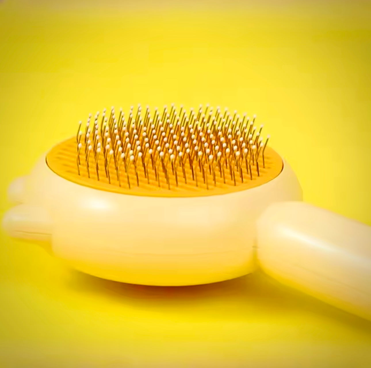 Brosse Magique Autonettoyante : Dites Adieu aux Poils Partout en un Seul Clic !