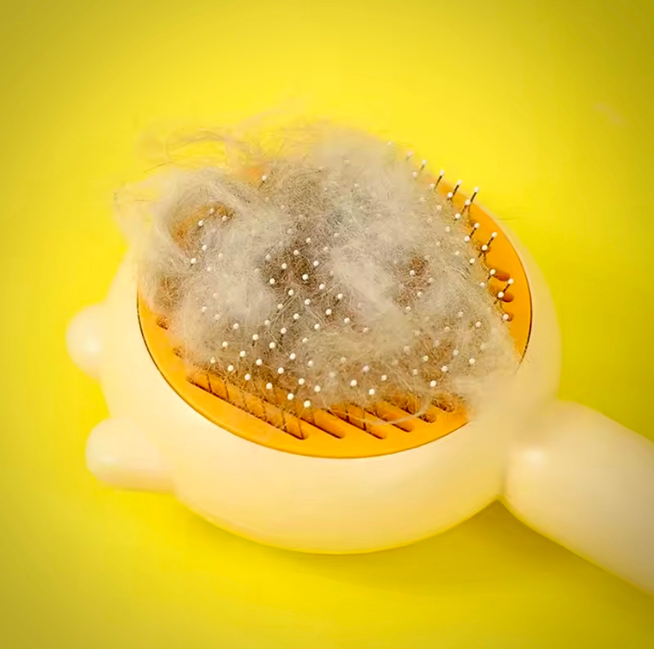 Brosse Magique Autonettoyante : Dites Adieu aux Poils Partout en un Seul Clic !