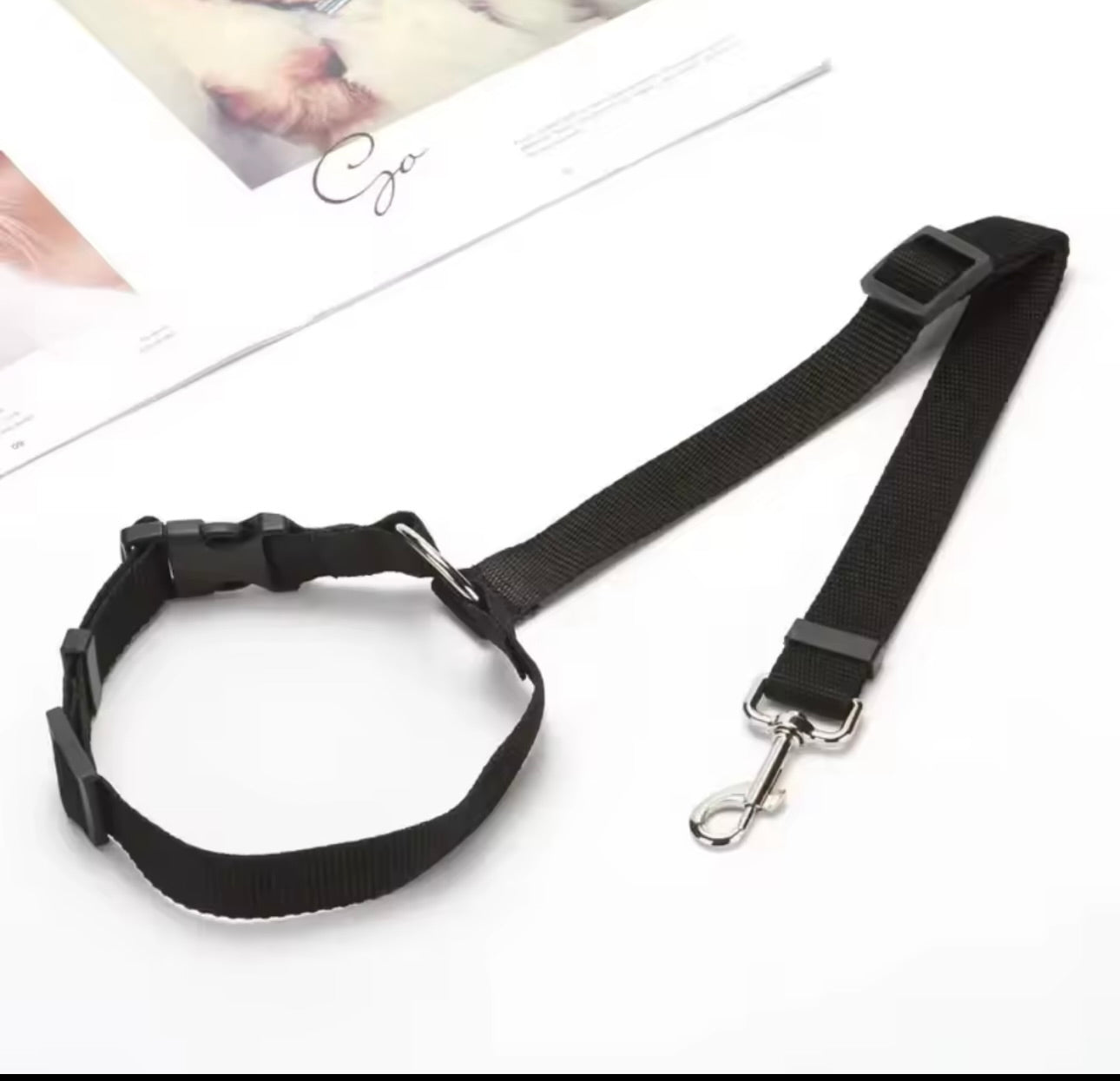 Ceinture de sécurité pour chien en voiture - Whiskora Pet House