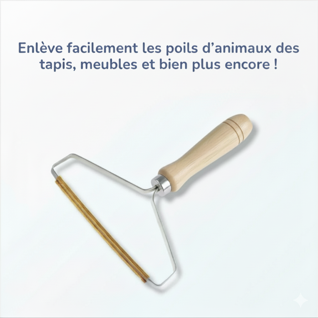 Rasoir Anti-Poils Premium - L'Éliminateur Magique pour Tapis et Vêtements