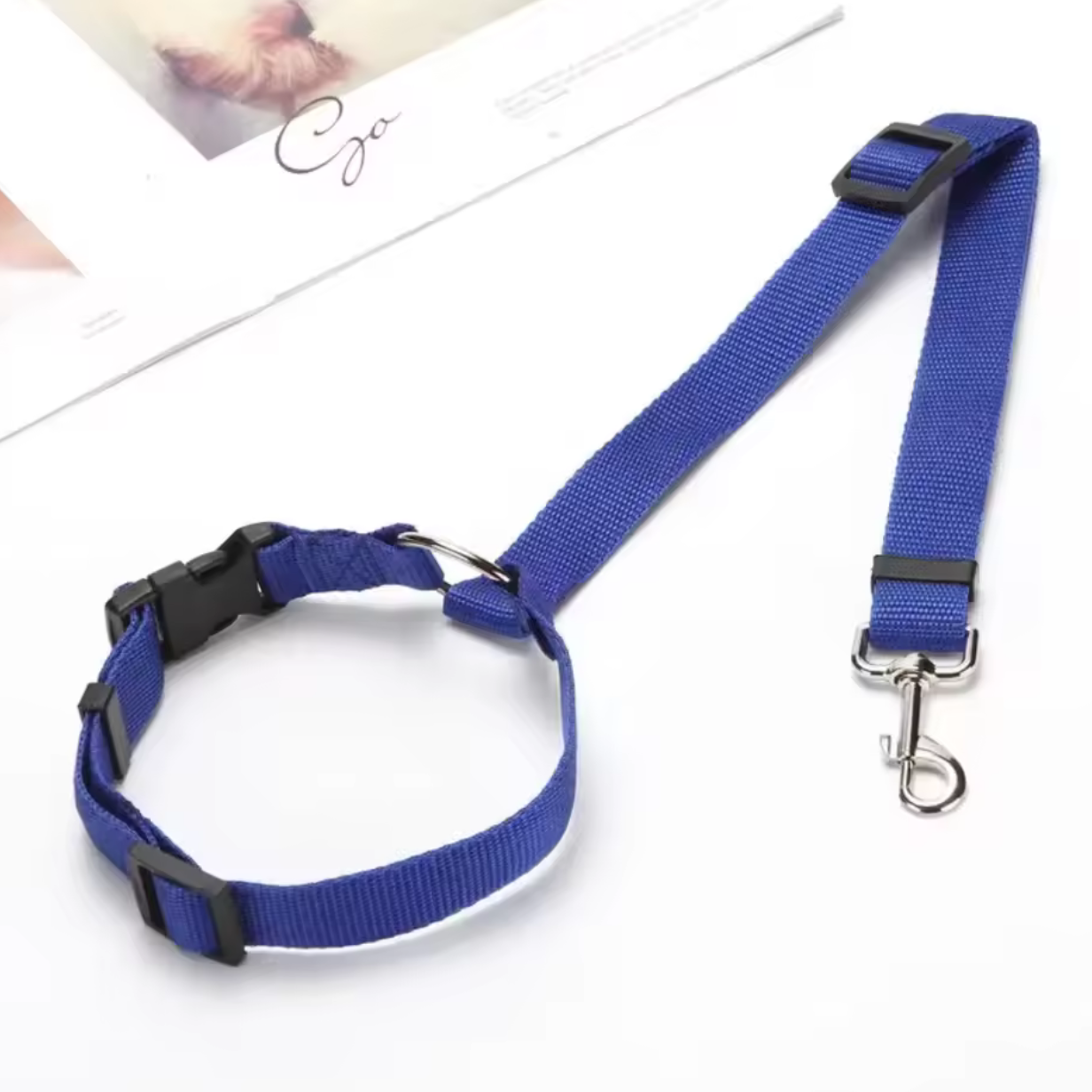 Ceinture de sécurité pour chien en voiture - Whiskora Pet House
