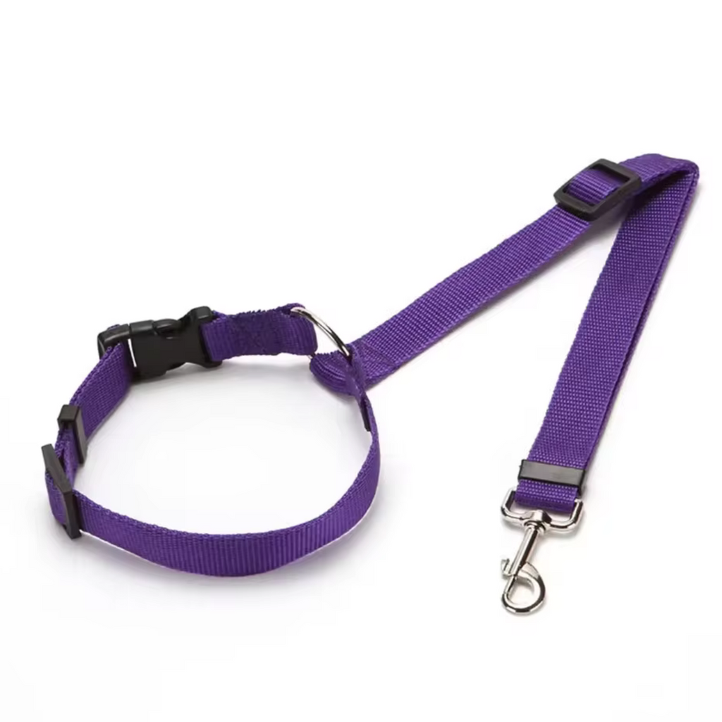 Ceinture de sécurité pour chien en voiture - Whiskora Pet House