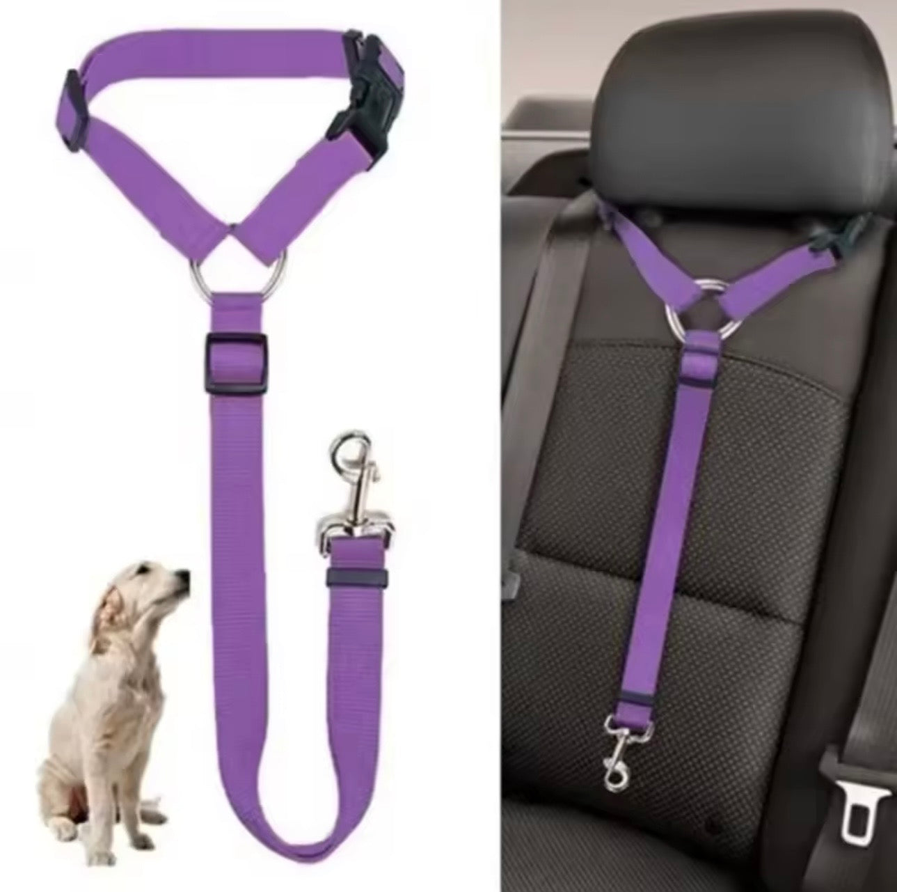 Ceinture de sécurité pour chien en voiture - Whiskora Pet House