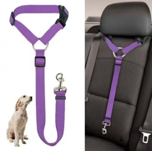 Ceinture de sécurité pour chien en voiture - Whiskora Pet House