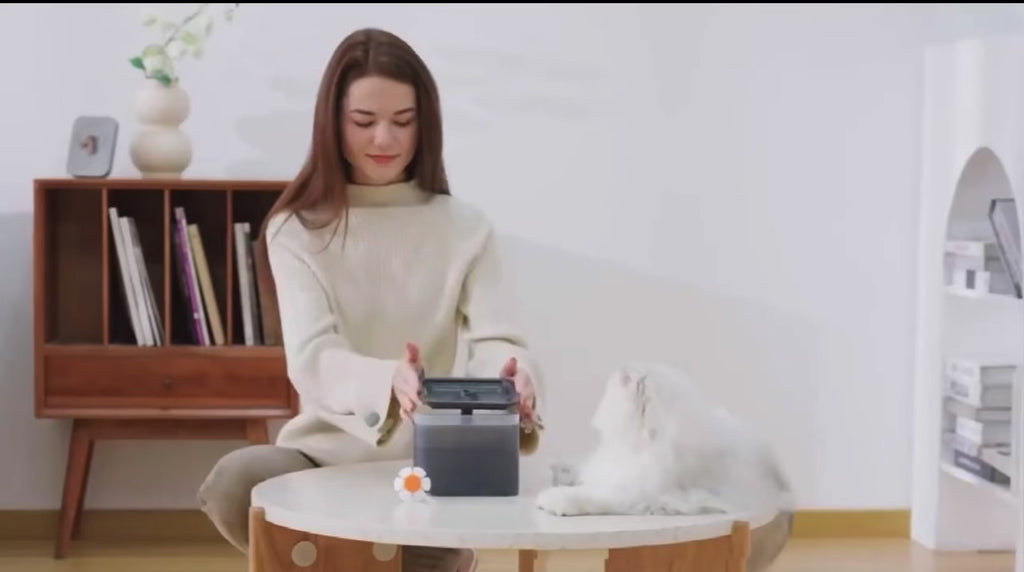 Fontaine à Eau Silencieuse pour Chat et Chien - 2.5L avec Filtre Triple Action